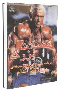 عضلات بزرگ