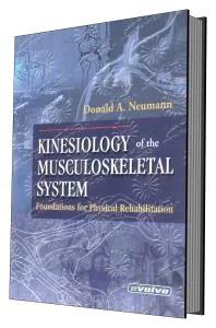 Kinesiology of the Musculoskeletal System: Foundations for Rehabilitation
