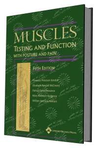 Testing and Function with Posture and pain